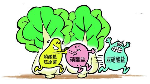 亚硝酸盐毒性到底有多大？