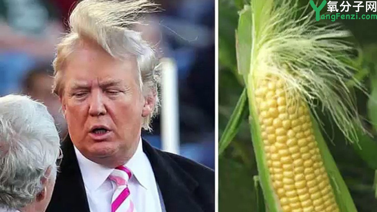 刘黎平:史记《特朗普、希拉里竞选美国总统传》